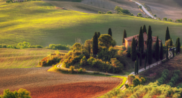 hiša sredi zelene toskanske pokrajine, obkrožena z visokimi cipresami in vinogradi, obsijana v večernem soncu
