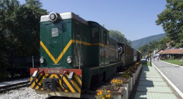 Šarganska osmica, Srbija