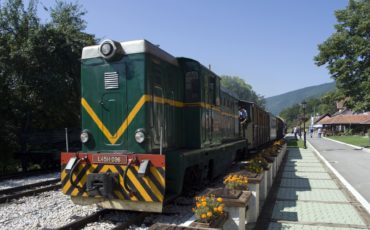 muzejski vlak šarganska osmica na postajališču v mrzli gori