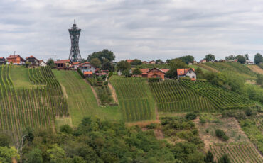 pobočje z vinigradi, na vrhu pa naselje z lendavskim razglednim stolpom Vinariumom