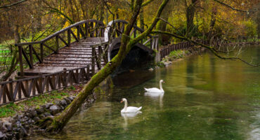 Beautiful,Nature,Park,Vrelo,Bosne,Near,Sarajevo,-,Bosnia,And