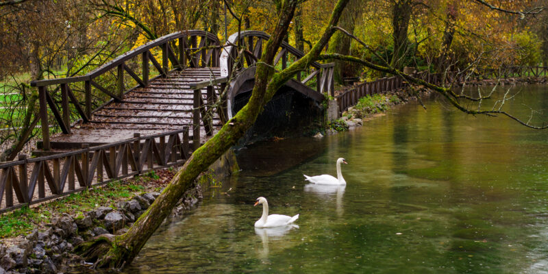 Beautiful,Nature,Park,Vrelo,Bosne,Near,Sarajevo,-,Bosnia,And