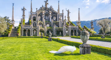 Beautiful,Isola,Bella,Island,With,Flower,Garden,,White,Peacocks,And