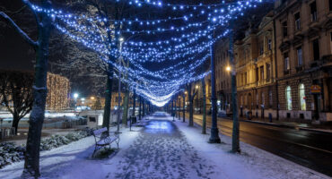 Lights,Over,Path,That,Is,Leading,To,The,Ice,Park