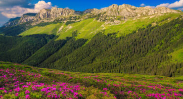 Bucegi @ shutterstock