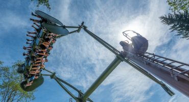 Pendula_fantasiana_-201483c5