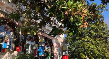 Advent in my hometown 🎄
