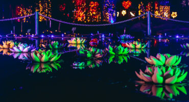 Warsaw, Poland - February 27, 2022: Light waterlilies on Magical Botanic Garden exhibit in Botanic Garden of Warsaw University