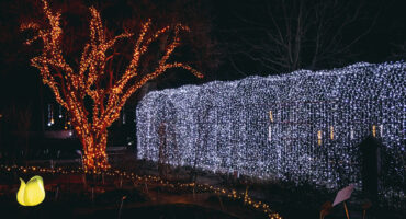 Warsaw, Poland - February 27, 2022: Pergola in Magical Botanic Garden exhibit in Botanic Garden of Warsaw University