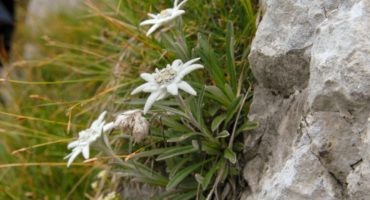 TRI-CINEnevtralna5@shutterstock